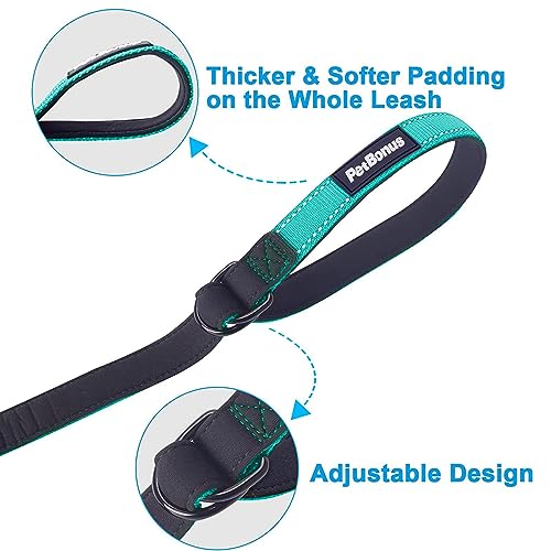 Short Dog Leash (Turquoise / Short - 1 Pack)
