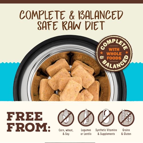 Primal Freeze Dried Raw Cat Food Nuggets (14 Ounce (Pack of 1))