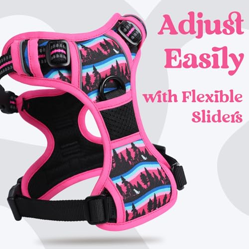 Dog Harness for Large (Mountain Rose / X-large)
