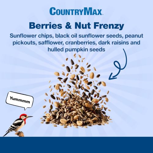 Backyard Seeds 20LB Berries 'n Nut Blend Bird Seed Mix (Berries & Nut / 20 Pound (Pack of 1))