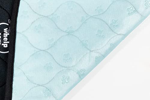 Reusable Dog Pee Pads (39x39 Inch)