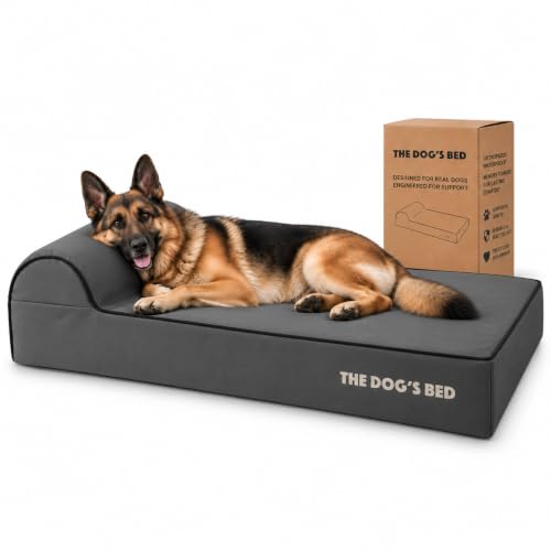 The Dog’s Bed Orthopedic Memory Foam Dog Bed with Headrest XL 6 (Grey with Black Trim / XL (46"L x 28"W x 6"Th))