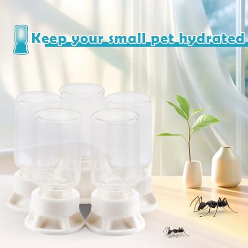 5 Pcs Jumping Spider Ant Water Feeder Bee Plastic Water Feeding Tarantula Water Bowl Spider Feeder