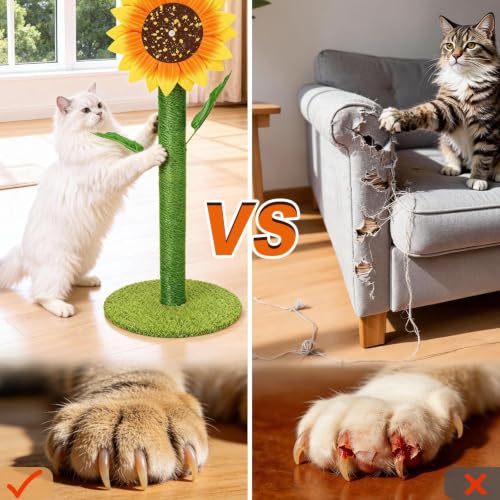Sunflower Interactive Cat Toys for Indoor Cats (Green / Medium)