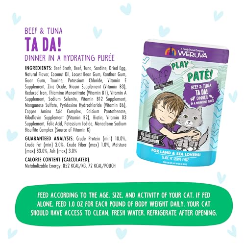 B.F.F. Play Best Feline Friend Paté Lovers (3 Ounce (Pack of 12))