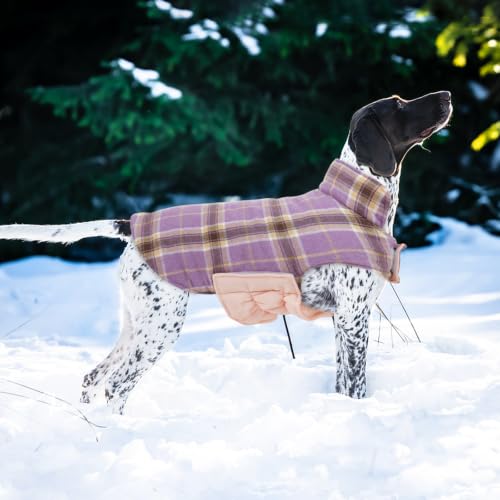 Waterproof Dog Coat (Lavender / Small (Pack of 1))