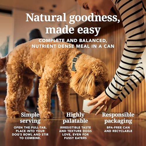 Canned High Protein Grain (13 Ounce (Pack of 12))