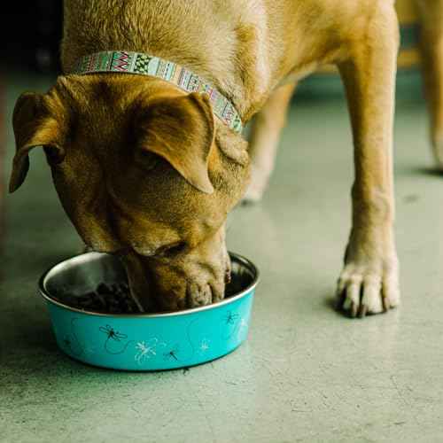 Bella Dog Bowls (Dragonfly / Large (35-65lbs))