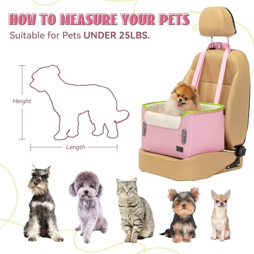Small Dog Car Seat