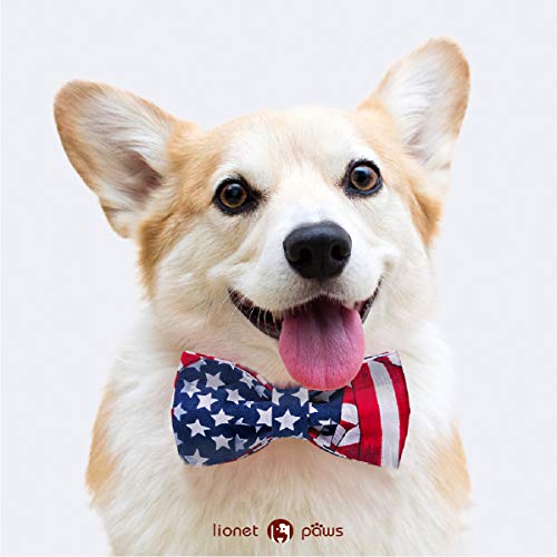Patriotic Dog Collar with Bowtie (Large (Pack of 1) / American Flag)