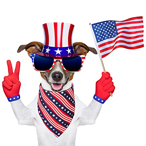 American Flag Dog Bandana (Large / Flag-2)