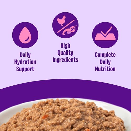 Complete Health Pate Adult Canned Wet Cat Food (3 Ounce (Pack of 24))