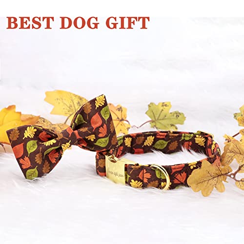 Fall Dog Collar with Bow (L / mapleleaf)