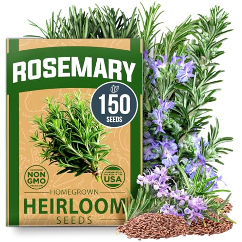 Rosemary Seeds