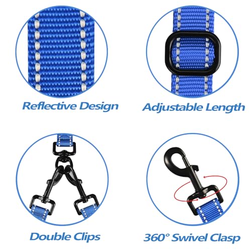 Double Dog Leash (Blue)