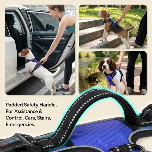 No Pull Dog Harnesses for Small Puppies Reflective Adjustable (Large / Royal Blue)