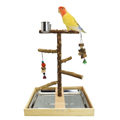 Bird Perch Natural Wood Stand Parakeet Playground Toy Parrot Play Stand Platform Bird Cage Branch Perch Accessories for Canaries Cockatiels Conure Lovebirds