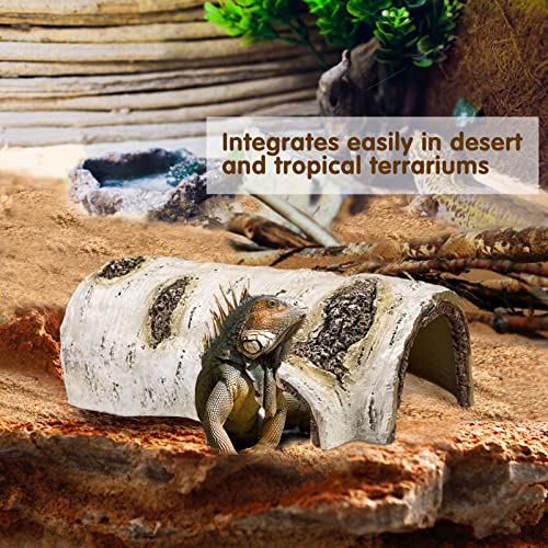 Reptile Hide Caves Simulation Tree Hideout Snake Hide