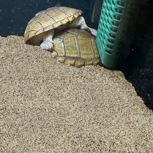 Aquarium Sand for Freshwater Tank (Mixed / 20 LB)