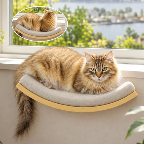 Cat Wall Shelf with Curved Hammock Bed (1 Curved Bed (Foam Mat) / Normal)