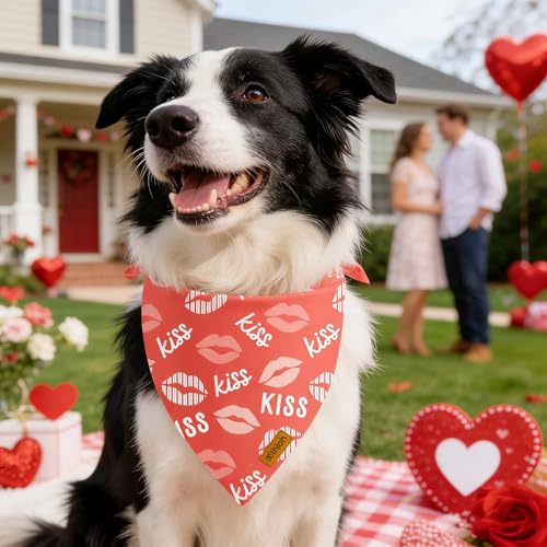 Valentines Dog Bandana (X-Large / Valentines-Pink)