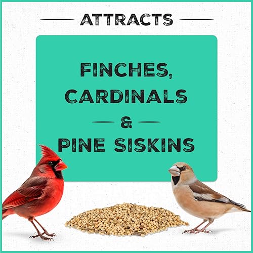 Pride Wild Finch Blend Wild Bird Seed (160 Ounce (Pack of 1))