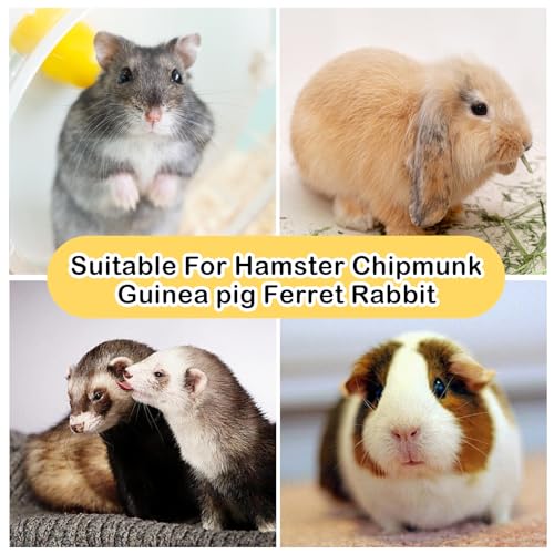 4 PCS Bunny Chew Toys for Teeth