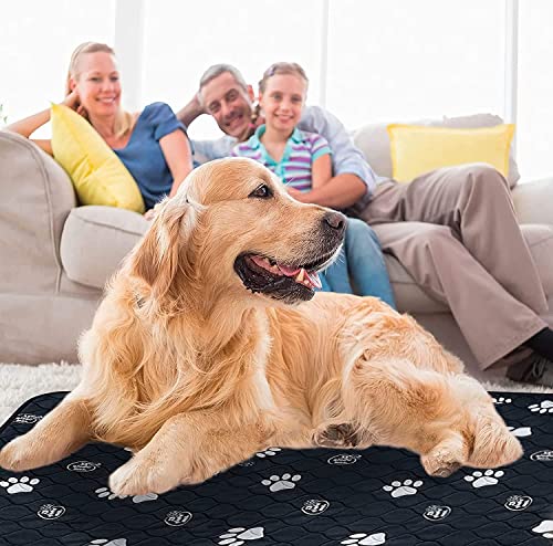 Reusable Dog Pee Pads (50x80 Inch)