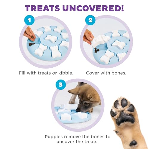 Nina Ottosson Puppy Tornado Dog Puzzle Interactive Treat Puzzle Dog Enrichment Dog Toy for Puppies (Puppy Smart (Light Blue) / 1 Count (Pack of 1))