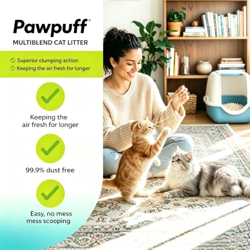 Clumping Cat Litter Tofu (22LB(Pack of 2))