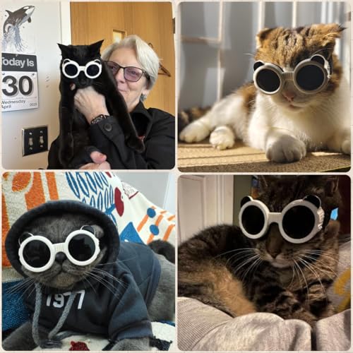 Dog Goggles for Small Breed UV (White / X-Small)