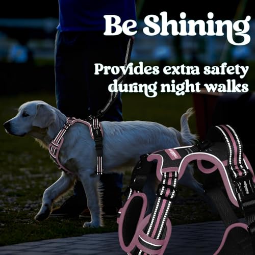 Dog Harness Small Sized (Black & Pink / Small)