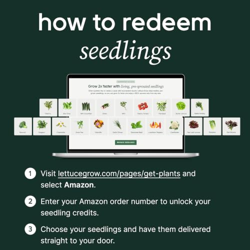 Farmstand Outdoor Starter Kit (30 Seedlings / Outdoor With Seedlings)