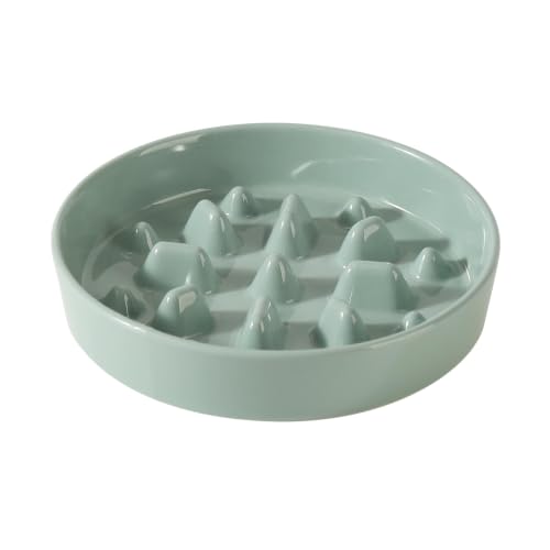 Ceramic Slow Feeder Dog Bowls (Light Green)