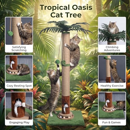 Cat Scratching Post 35'' Tall with Toy Mouse for Indoor Cats (Green-35 Inches)