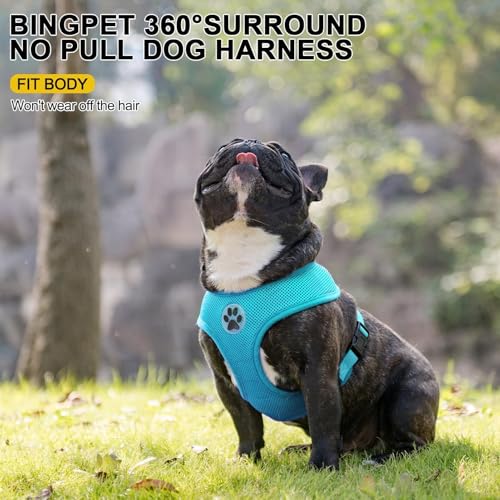 Small Dog Harness (M (NECK: 14", CHEST: 17"-21") / Royal Blue)