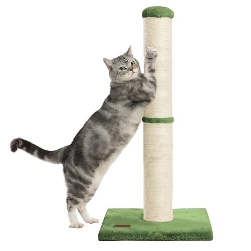 34" Tall Cat Scratching Post with Sisal Rope for Indoor Cats Green (Green)