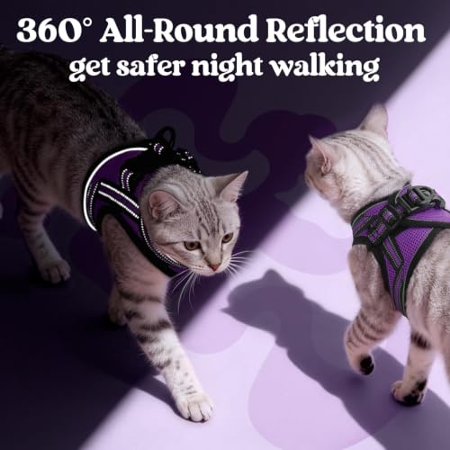 Cat Harness and Leash Set (M / Purple)