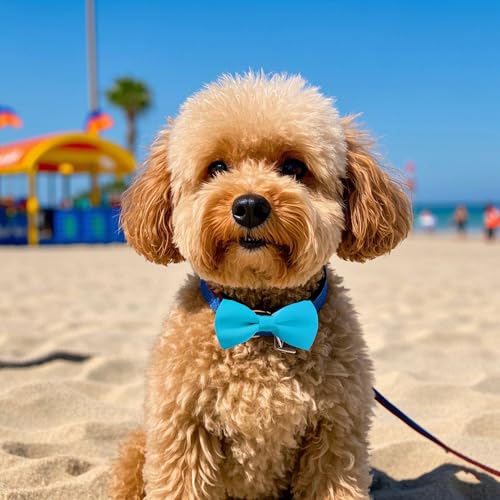 12 Pack Plain Dog Bowties for Small Dogs Slide on Collar (S/M)