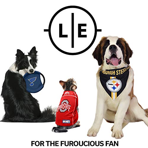 NFL Las Vegas Raiders Pet Bandana (Las Vegas Raiders / XLarge)
