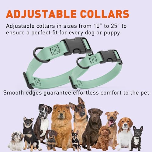 Biothane Waterproof Dog Collar with Quick Release Buckle Strong Coated Nylon Webbing with Odor (3/4"W by 12-19"L / Sage Green)