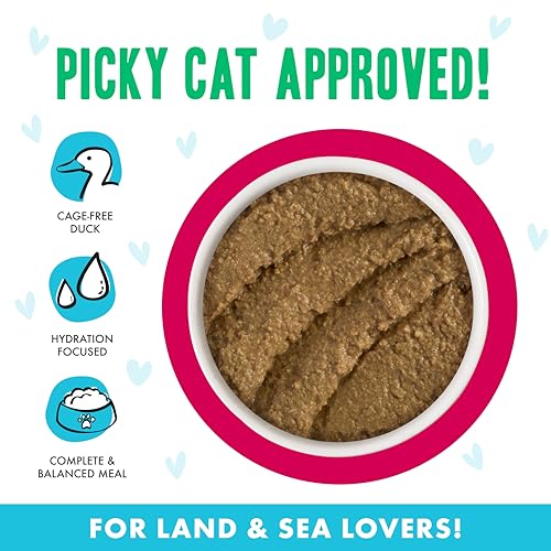 B.F.F. Play Best Feline Friend Paté Lovers (5.5 Ounce (Pack of 8))