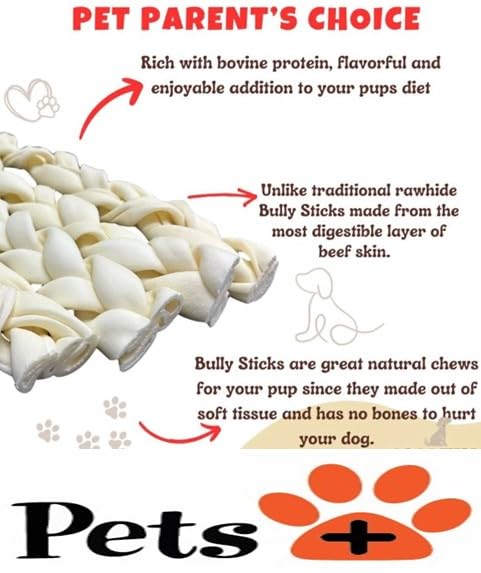 Pets Plus Premium Dog Treats (1 Ounce (Pack of 1))