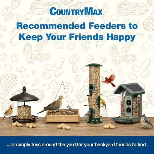 20LB White Proso Millet Bird Seed for Wild Birds & Finches (White Millet / 20 Pound (Pack of 1))