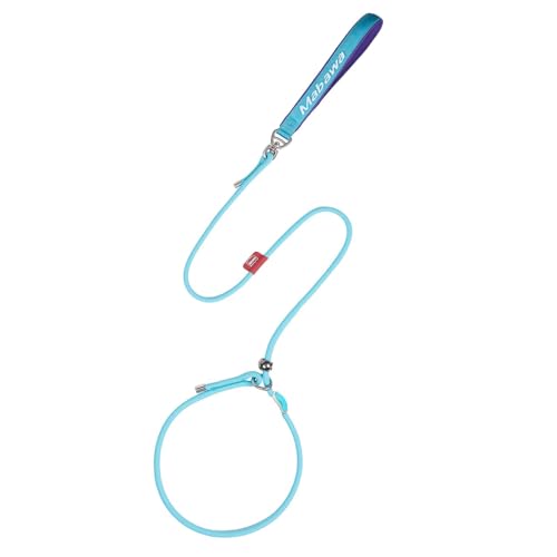 Dog Anti Slip Leash 5FT with Metal Stopper (Lake Blue / 5 FT)