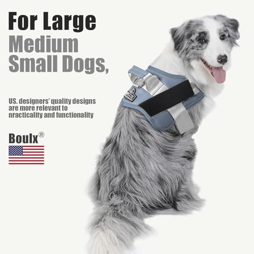 Dog Harness No (X-Large (Pack of 1) / Silver)