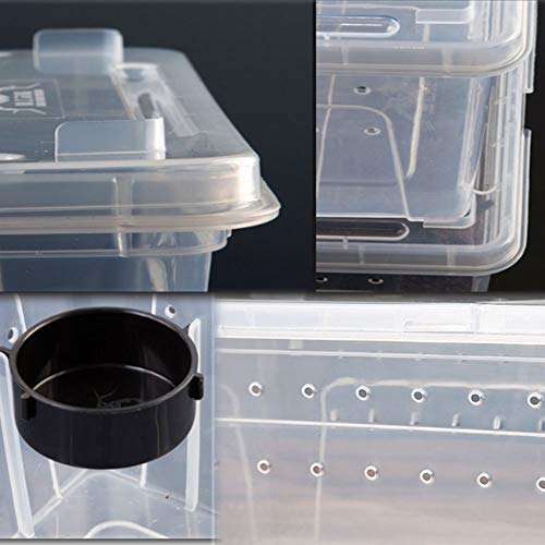 2 PCS Reptile Feeding Box Lizard Tarantula Habitat Cage Hatching Container