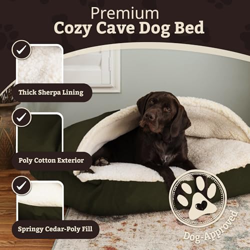 Rectangle Cozy Cave Dog Bed (Olive / Large)