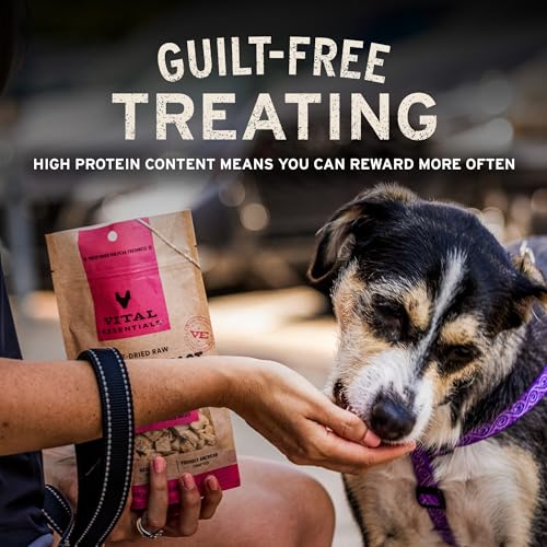 Freeze Dried Dog Treats (14 Ounce (Pack of 1))