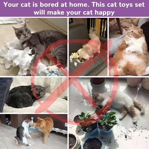 Interactive Cat Toys for Indoor Cats Kitten (Extra Large Cat Tunnel Toy Set)